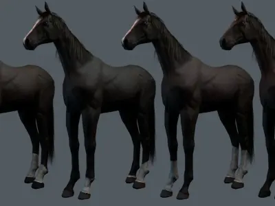 Thoroughbred Horse 3D model