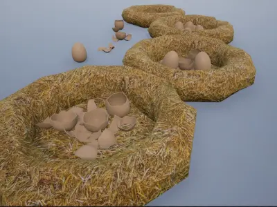 Birdnests and Eggs hatched and remains Low-poly 3D model