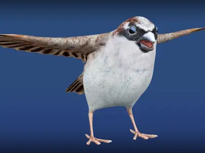 Sparrow Rig Low-poly 3D model