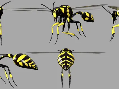 Potter or Mason Wasp 3D model