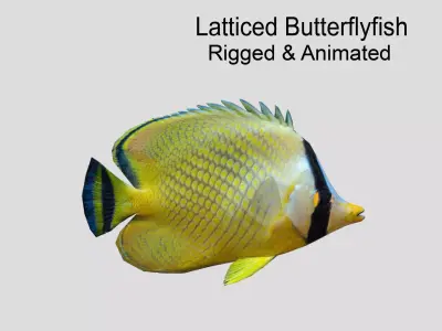 Latticed Butterflyfish Realistic Animated Low-poly 3D model
