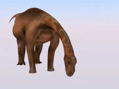 Saltasaurus dinosaur Free 3D model