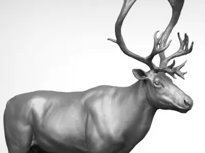 Reindeer 3D model buy