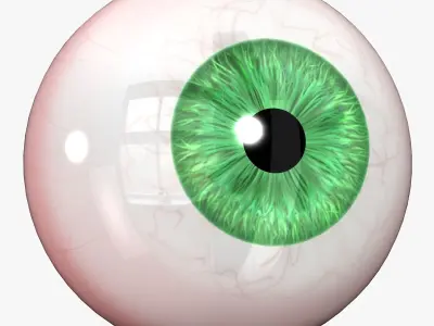 Eye green blue hazel Low-poly 3D model