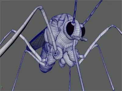 Midge mosquito 3D model