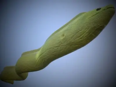 Green Eel 3D model