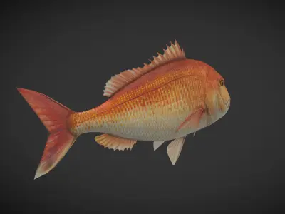 Carp 01 Low-poly 3D model