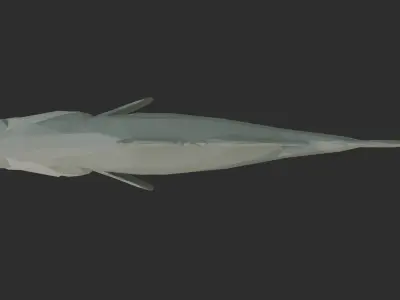 Low Poly Barramundi Low-poly 3D model