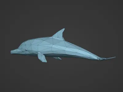 Low Poly Dolphin Low-poly 3D model