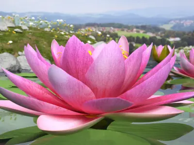 Blooming Nymphaea Siam Purple 3D model