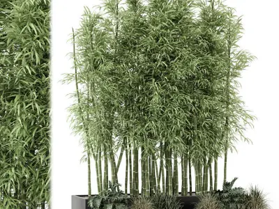 Indoor Plants Bamboo Set in rusty Concrete pots - set 1894 3D model