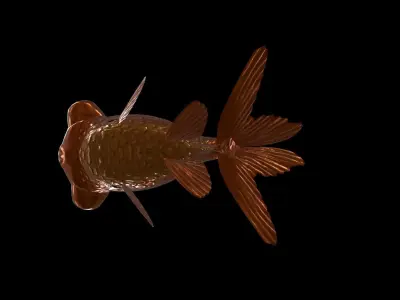 FISH-007 Goldfish 3D model