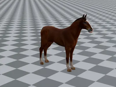 Rigged and Animated Brown Horse 3D model