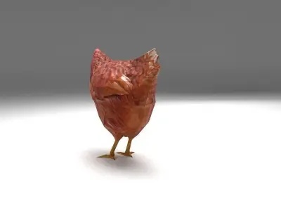 Chicken low poly rooster Low-poly 3D model