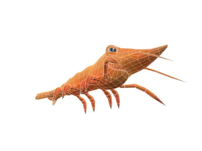 Giant Tiger Prawn Animated Cartoon Low-poly 3D model
