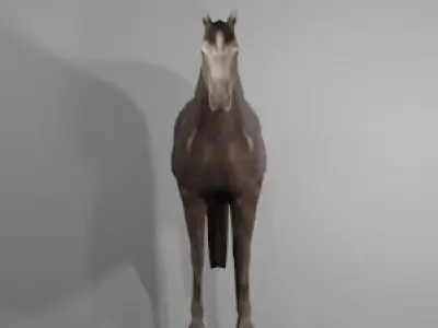 Horse - 3D Model Low-poly 3D model