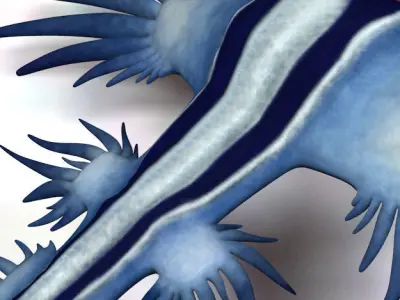 Glaucus atlanticus low poly Low-poly 3D model