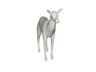 Deer wild animal 3D model