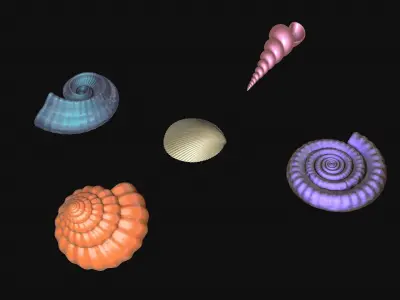 Shells and ammonites 3D model