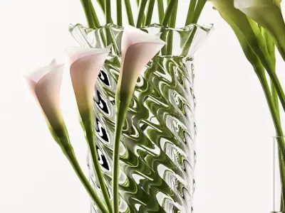 callalilly 3 calla lilies in glass vases 3D model