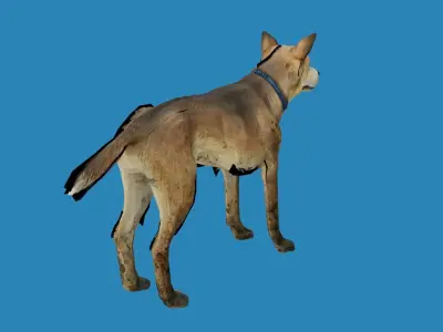 dog lowpoly 3dmodel 3D model
