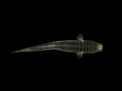 Sucker Minnow 3D model