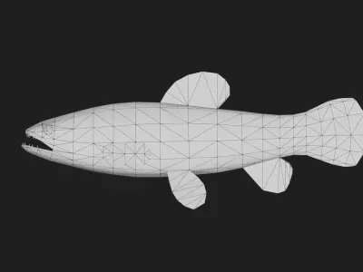 Carpfish Low-poly 3D model