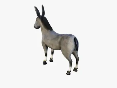 Donkey Free 3D model