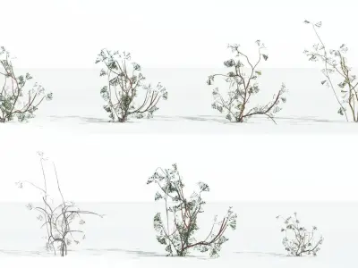 EVERYPlant Baiera LowPoly 4 --14 Models-- Low-poly 3D model