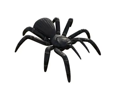 Spider 3d Model 3D model