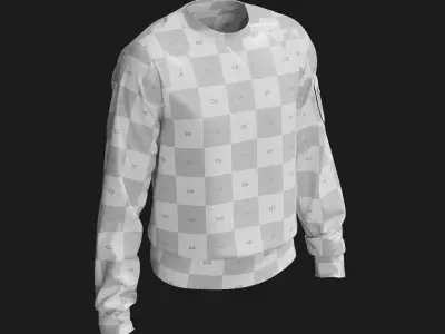 3D Sweater Model with Glossy Sleeves 3D model