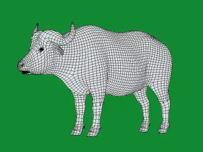 African Buffalo Free low-poly 3D model