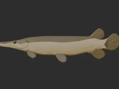 Low Poly Aligator Gar Low-poly 3D model