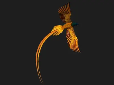 PheasantBird A2 3D model
