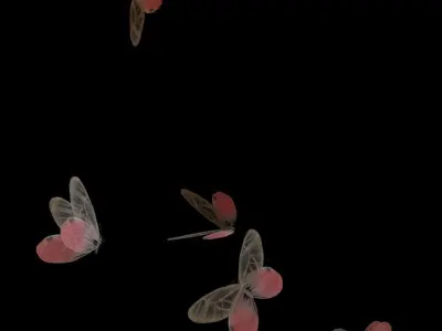 Butterflies Animated  3D model