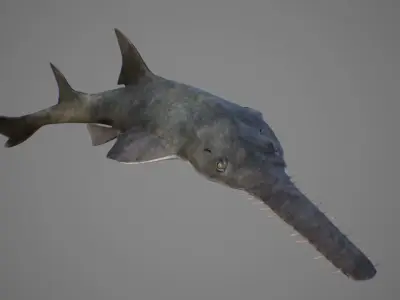 Sawfish shark with long tail Low-poly 3D model