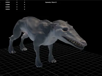 Pakicetus 3D Model skulls of three different animals 3D model