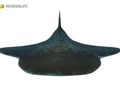 Angel Shark with animation 3D model
