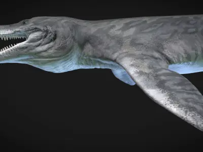 Kronosaurus Low-poly 3D model