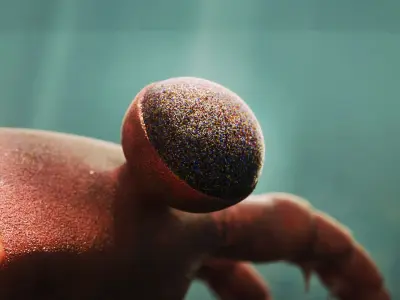 Anomalocaris Low-poly 3D model