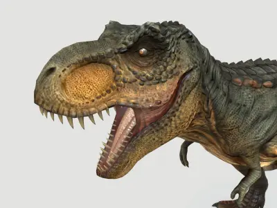 Tyrannosaurus Low-poly 3D model