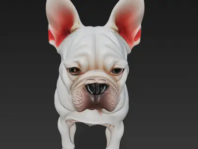 French Bulldog White Dog Realistic 3D Model - Low Poly Realistic Low-poly 3D model