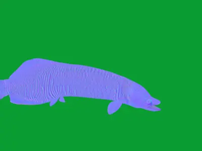 Arapaima Pirarucu Fish Low-poly 3D model