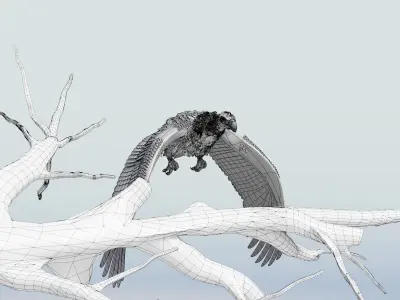 Griffon Vulture-BLENDER Low-poly 3D model