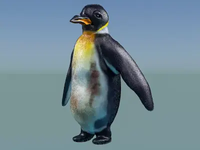 Emperor Penguin 3D model