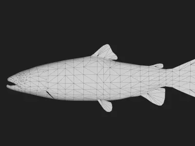 Trout Low-poly 3D model