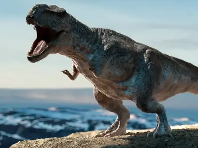 Tyrannosaurus Rex Rigged Animation Low-poly 3D model