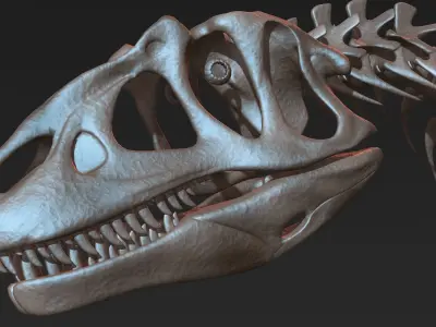 Allosaurus skeleton model Low-poly 3D model