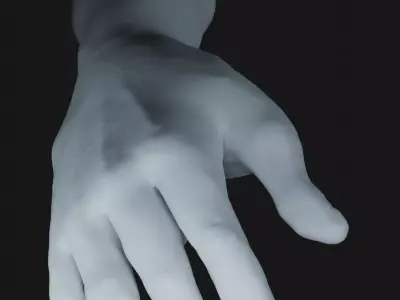 a man hand 3D model