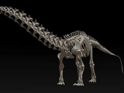 3D Diplodocus Skeleton Low-poly 3D model